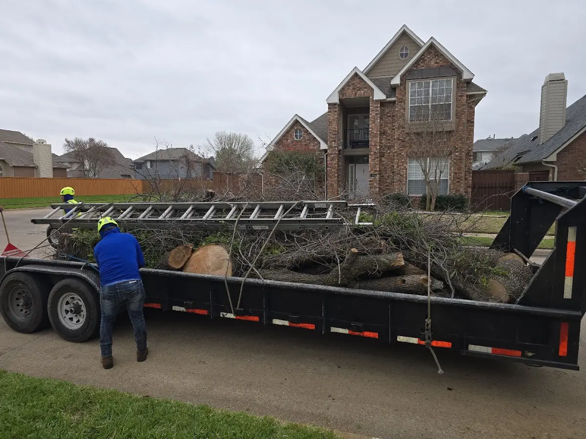 Expert Lot Clearing with proper safety equipment in French Gulch